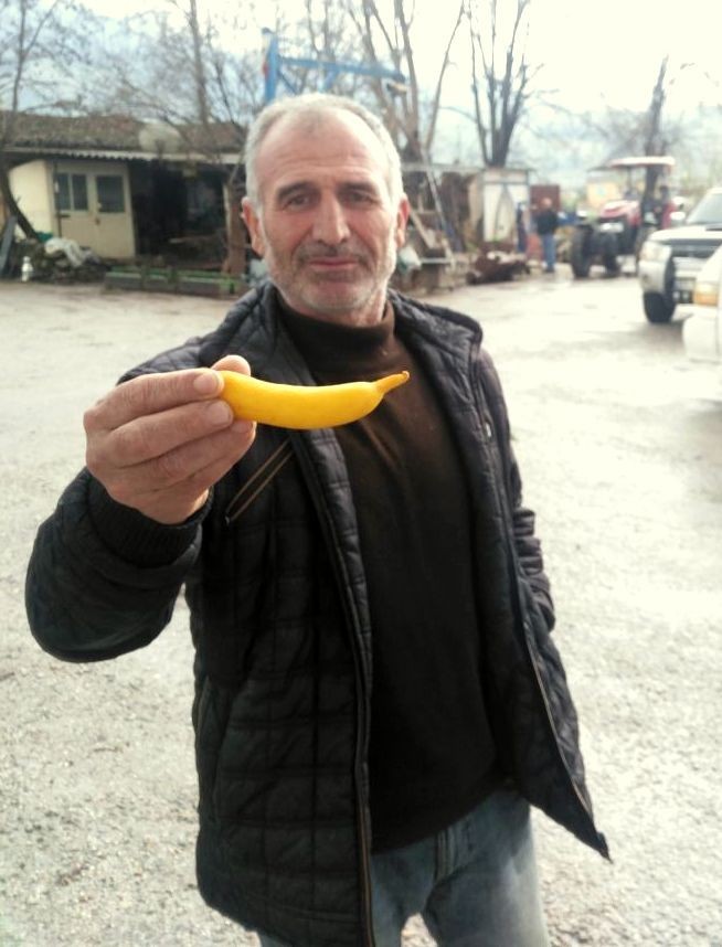 Gören ilk bakışta muz sanıyor