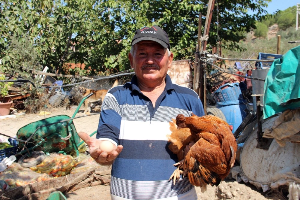 Damgasız 15 yumurtaya 15 bin lira ceza