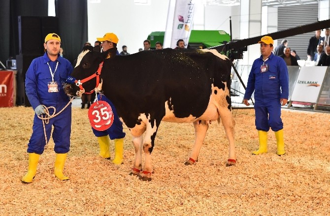 AGROEXPO ziyaretçilerine dolu bir etkinlik hazırlandı
