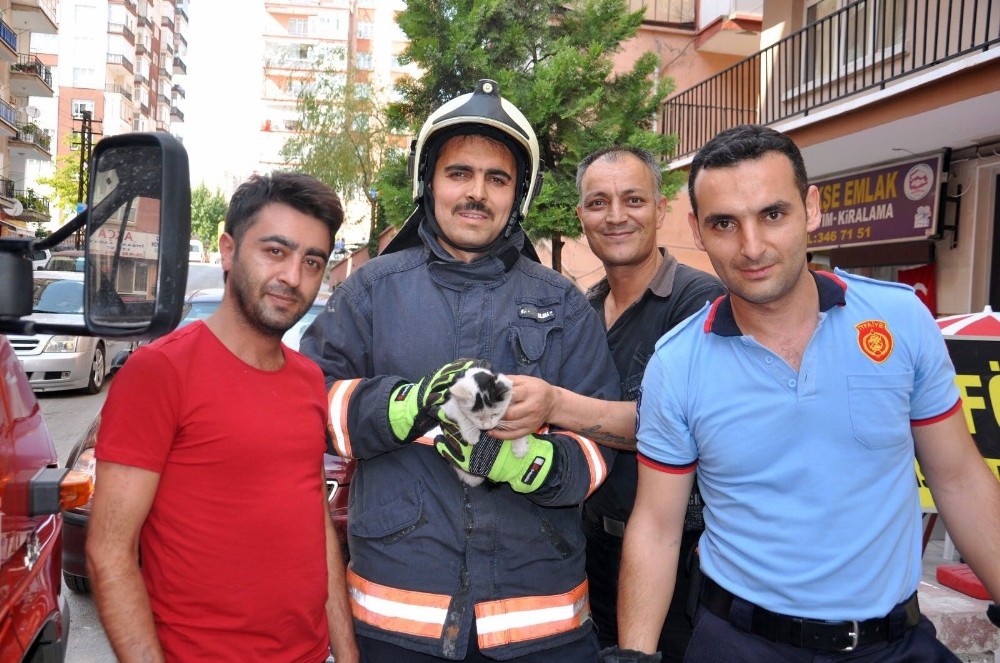 Yavru kedi itfaiye ekiplerince kurtarıldı