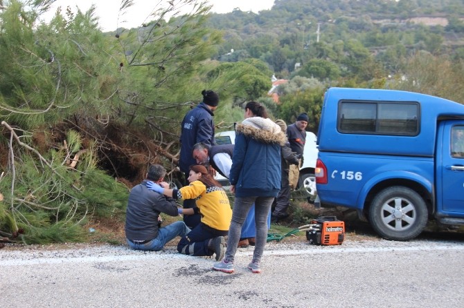 Aracı ağaçların arasına saplandı, 2 saat kurtarılmayı bekledi