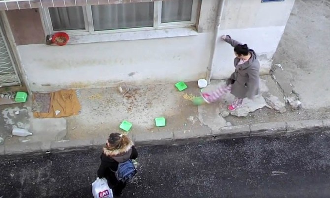 İZMİR'DE KEDİ BESLEME KAVGASI