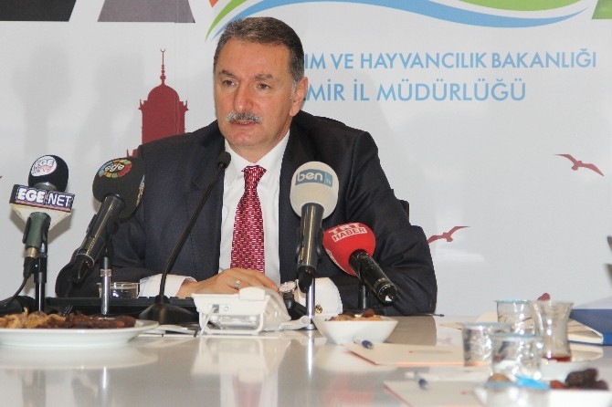 BU ALANLARDA İZMİR'DEN İYİSİ YOK!