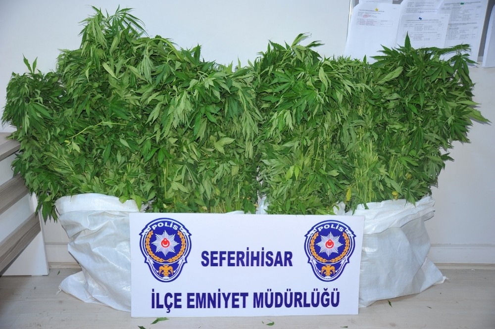 Seferihisar Emniyetinden zehir tacirlerine operasyon: 3 gözaltı