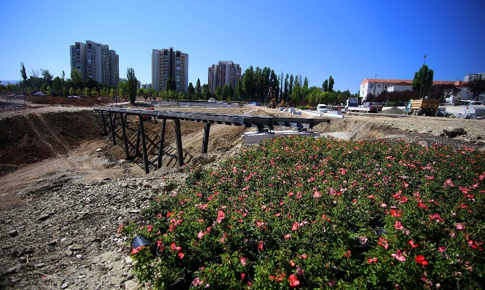 Lozanpark’ta çalışmalar devam ediyor
