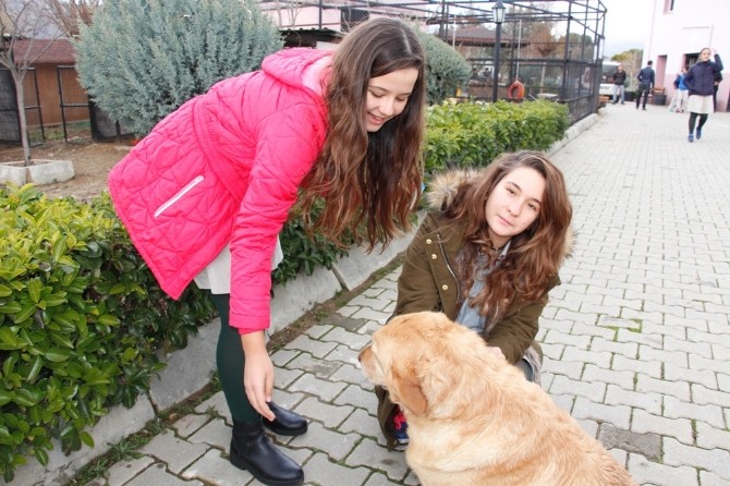 Öğrencilerden hayvan barınağına ziyaret
