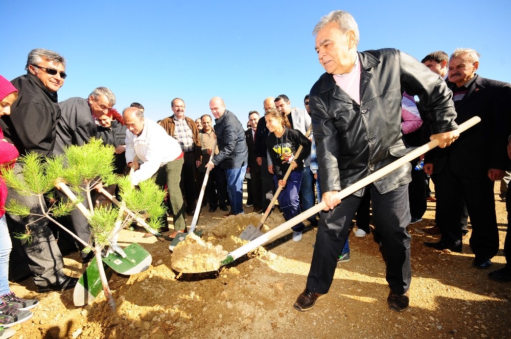 Moloz deposuydu, kent ormanı oluyor
