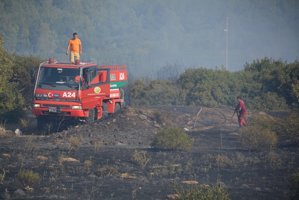 İzmir’de makilik alanda yangın