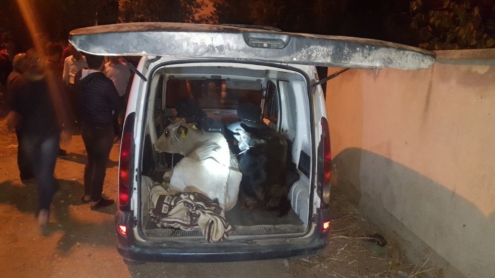 Jandarmanın şüphesi hırsızları ve uyuşturucu tacirini yakalattı