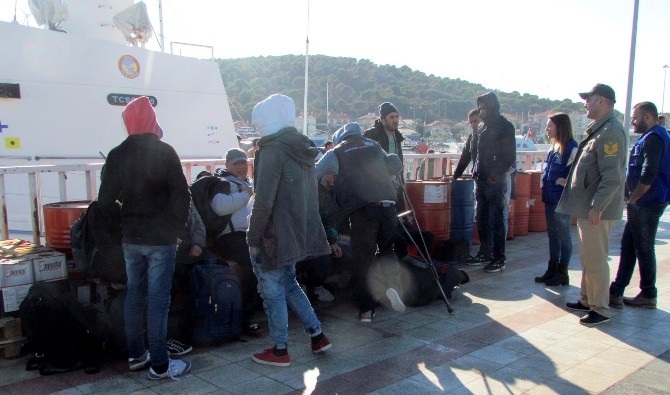 Kaçak sığınmacıları Yunanistan diye Eşek Adası’na bıraktılar
