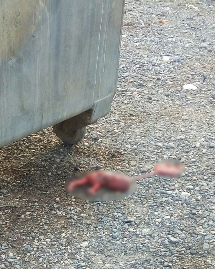 İzmir’de çöp konteynerinde cenin bulundu