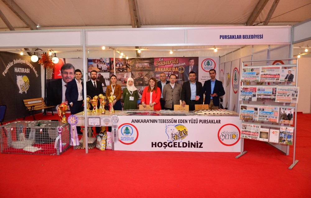 Pursaklar’ın Ankara kedileri AKM’de ilgi odağı oldu
