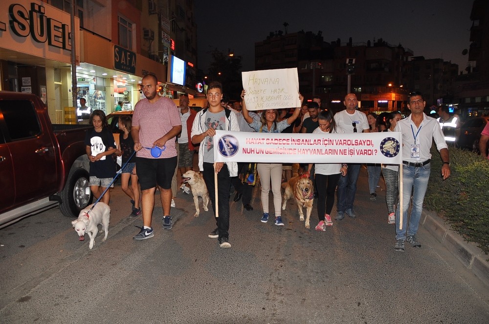 HAYVANSEVERLER O KÖPEK İÇİN YÜRÜDÜ!