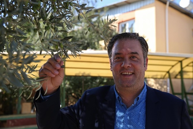 Buca’dan eğitime zeytin dalı