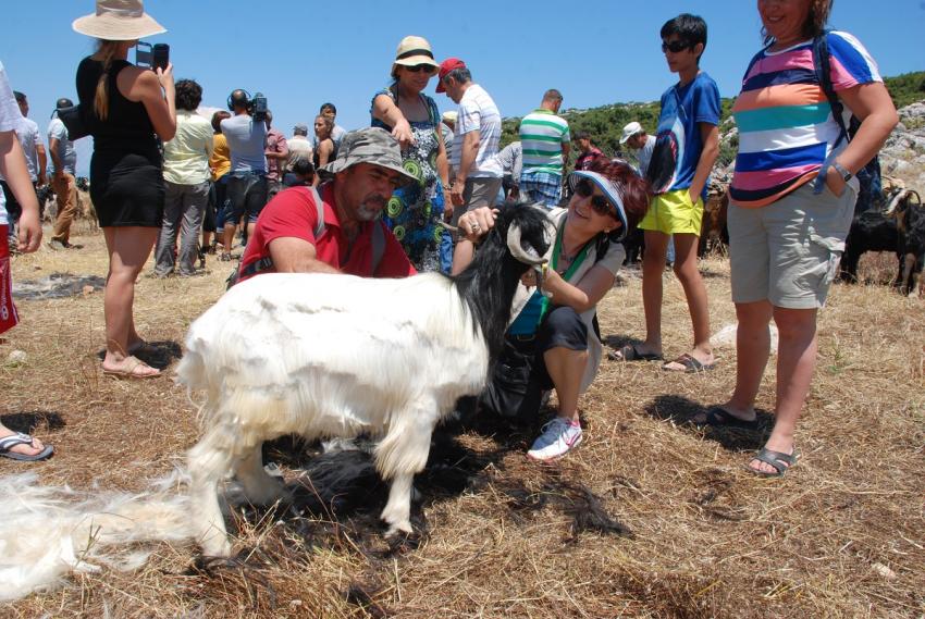 KARABURUN KIRKIM ŞENLİĞİ İLE RENKLENECEK