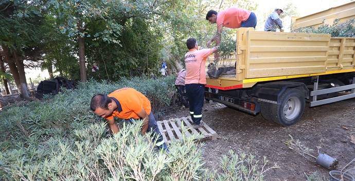 Eski sera yeni mezarlık alanı oluyor