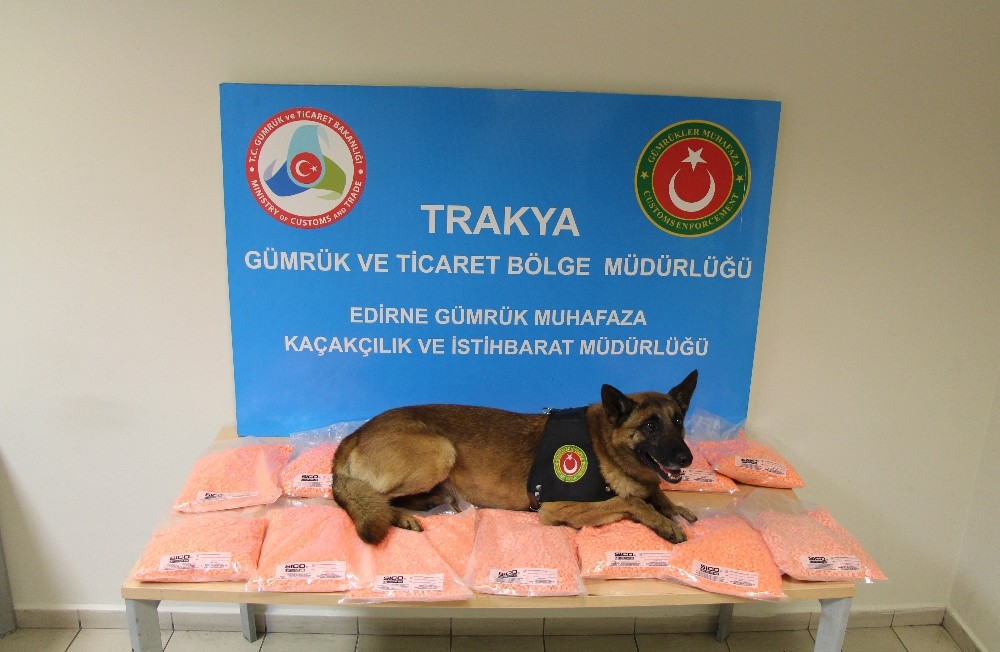 Gümrük muhafaza ekipleri uyuşturucuya geçit vermiyor