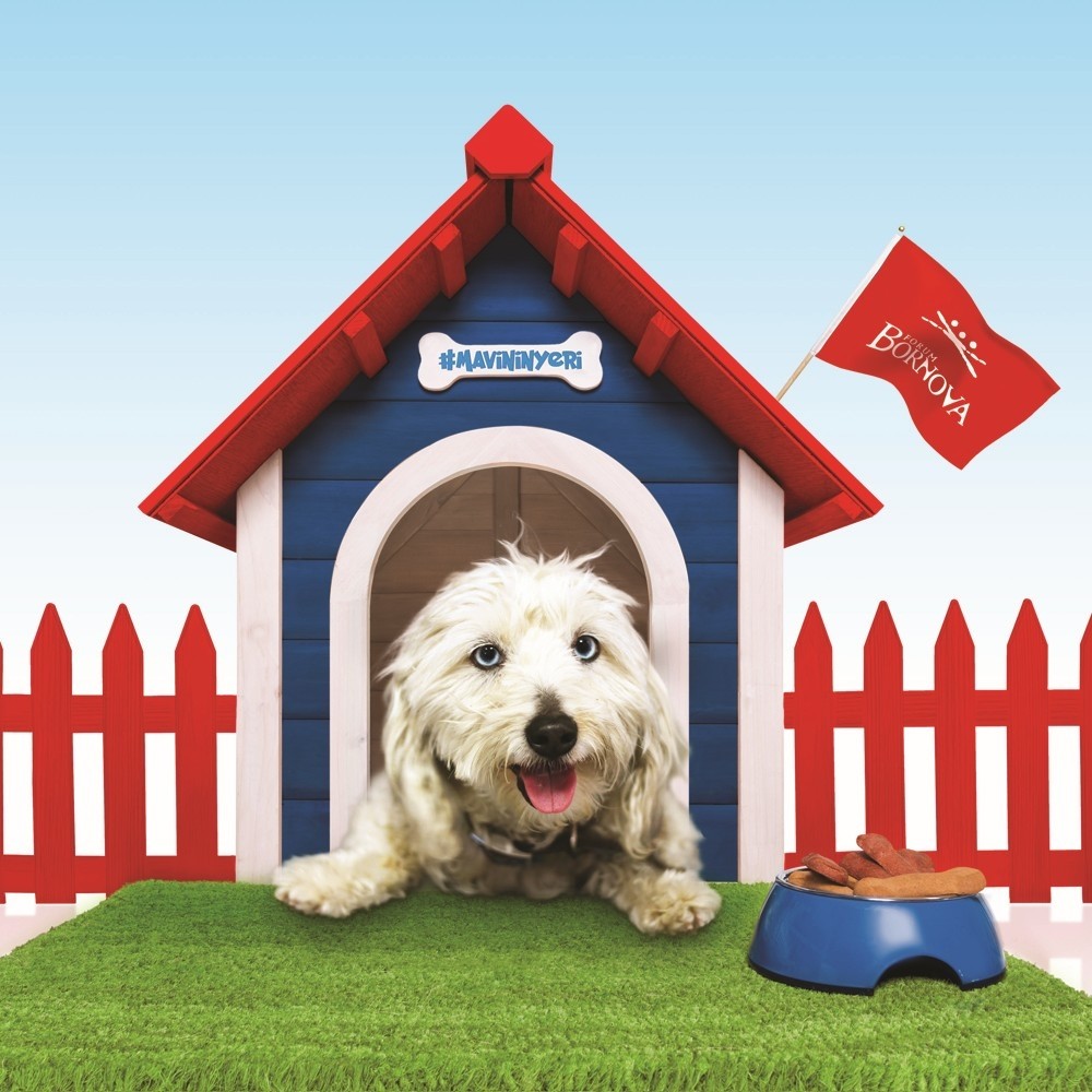 O alışveriş merkezinde köpeklere özel alan
