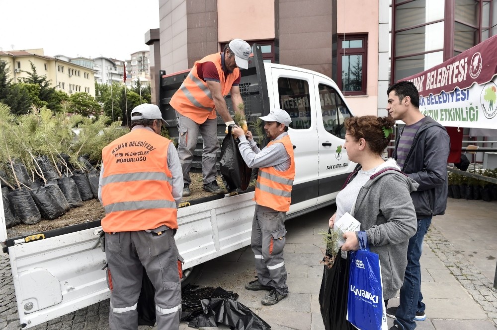 Mamak’ta ücretsiz fidan dağıtımı