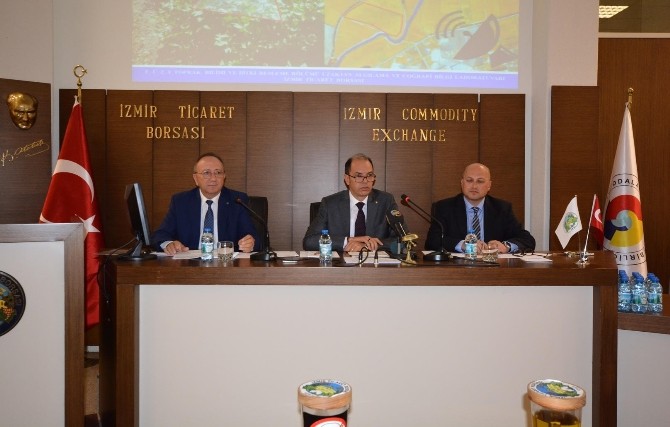 Pamukta 2016 rekolte tahmini açıklandı