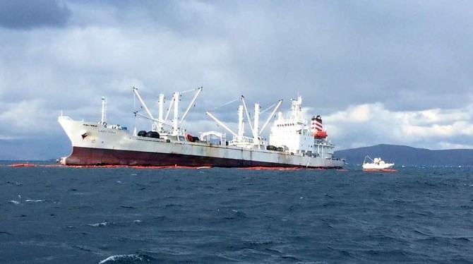 Kayalıklara oturan gemiden yakıt sızdı, deniz canlıları kıyıya vurdu