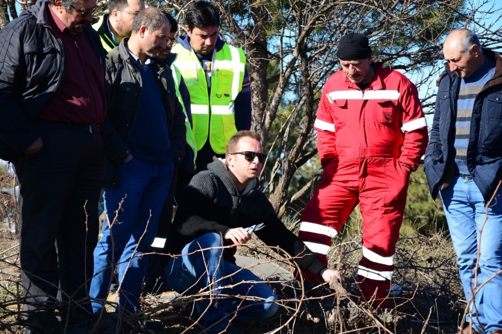 Menderes’te üreticilere eğitim