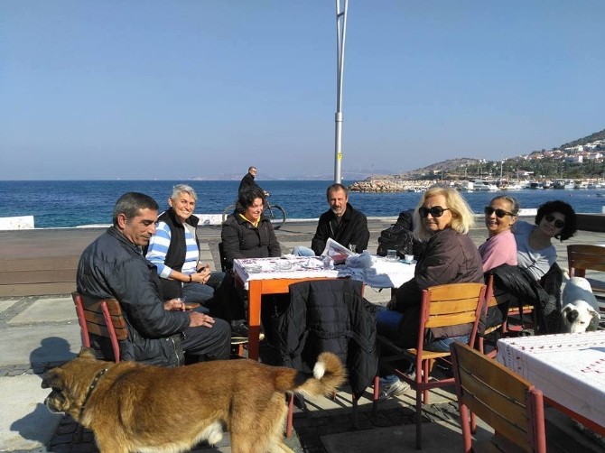 Foçalı hayvanseverlerden yardım çağrısı