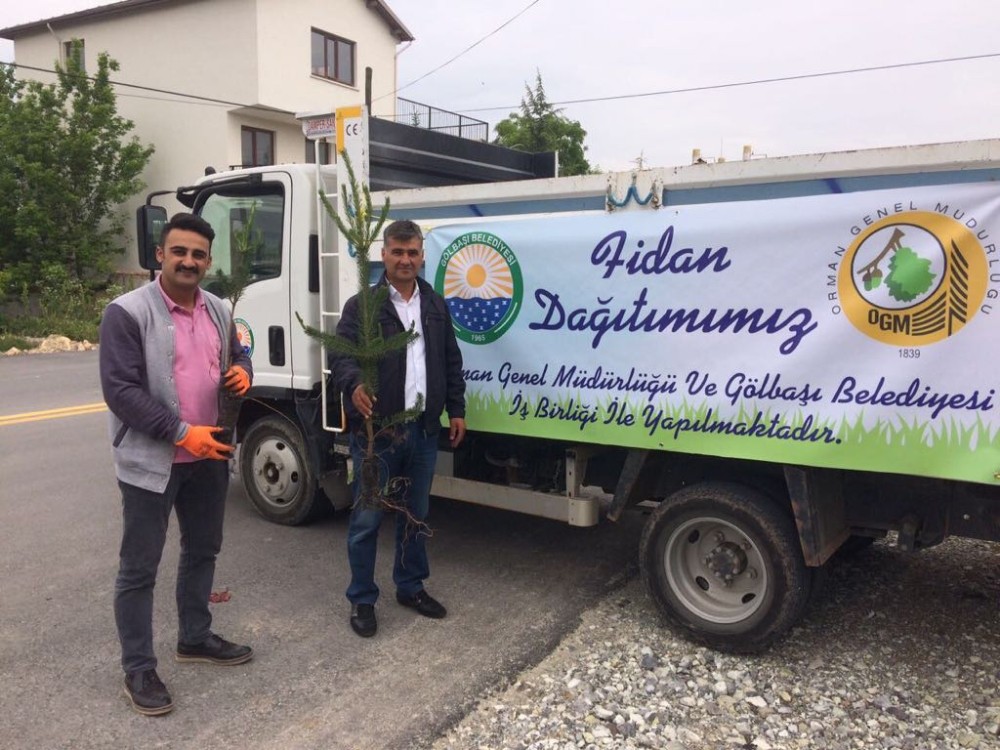Bayramda mezarlıklar yeşillenecek