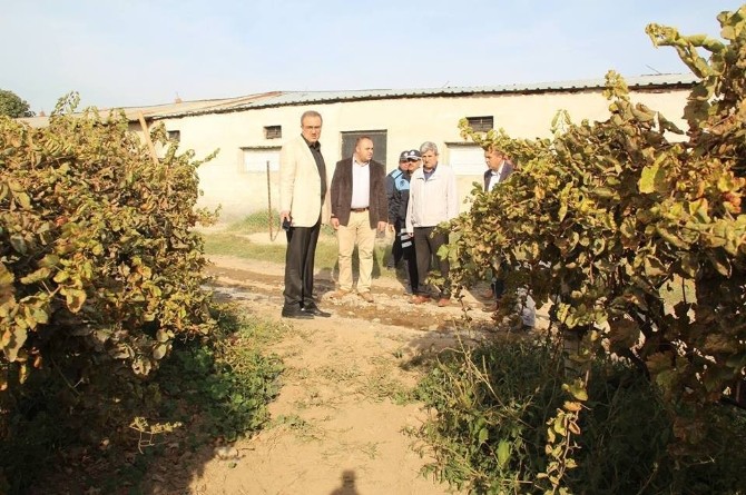 Başkan Karaçoban’dan taziye mesajı