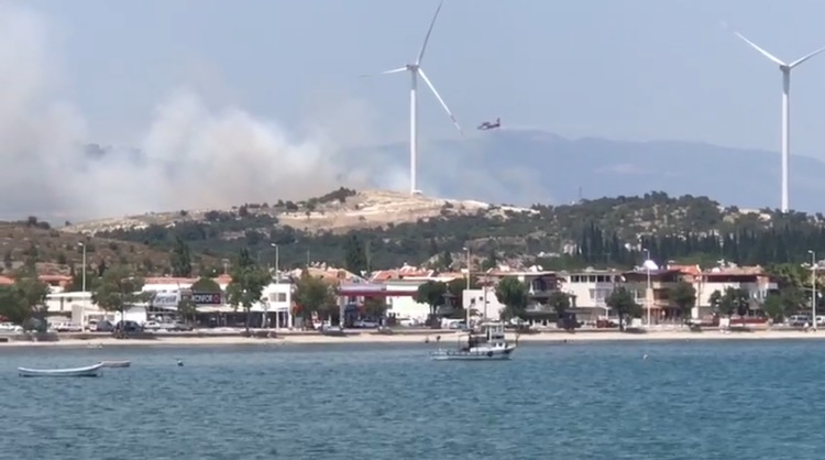 İzmir’de ormanlık alanda yangın