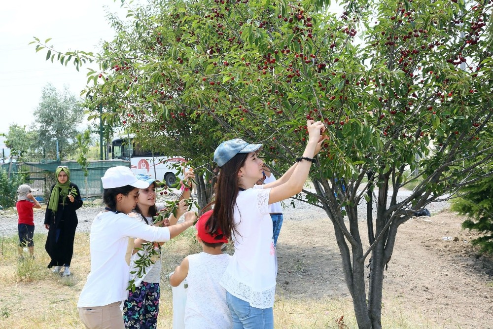 Keçiörenli çocuklar yaz kampında hem eğleniyor hem öğreniyor