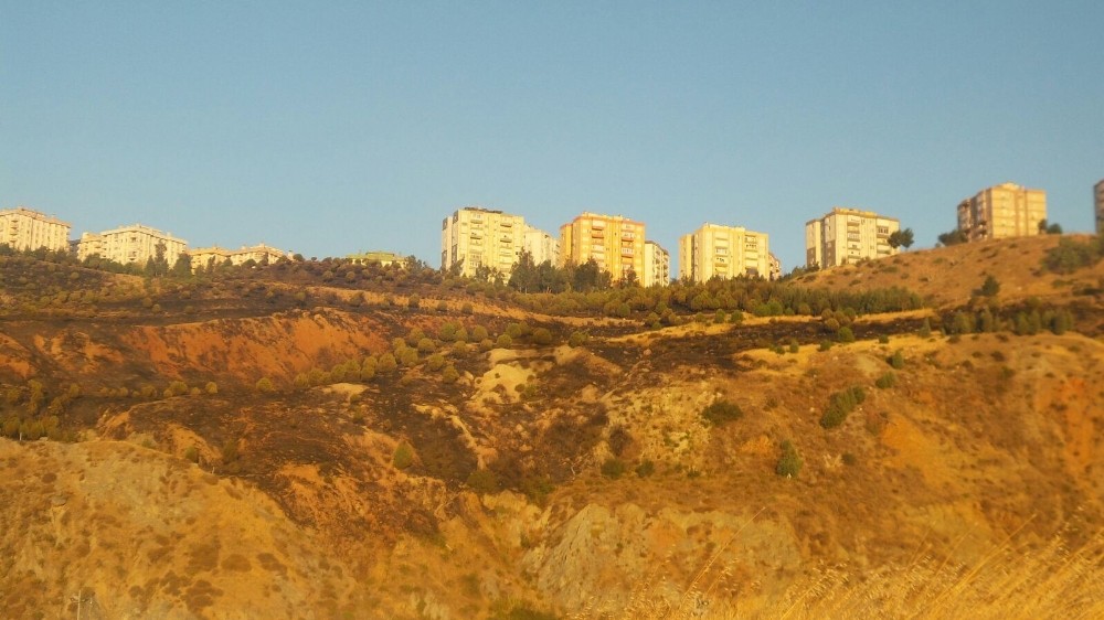 İzmir’deki makilik yangını kontrol altına alındı