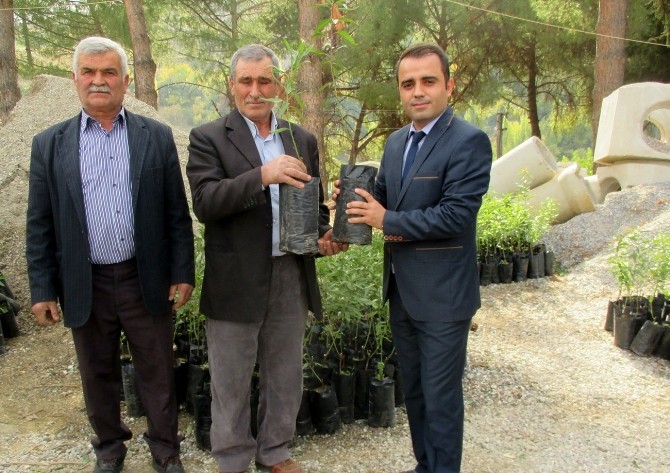 Manisa’da meyve yetiştiriciliği destekleniyor
