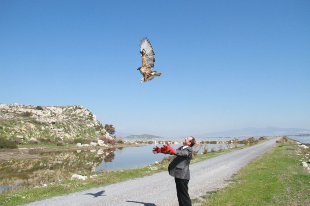 Davetsiz misafirler doğaya döndü
