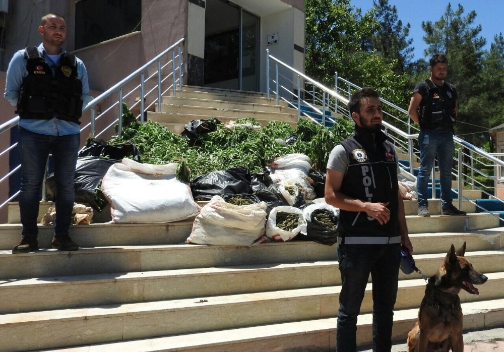 Mardin’de terörün finansman kaynağına darbe