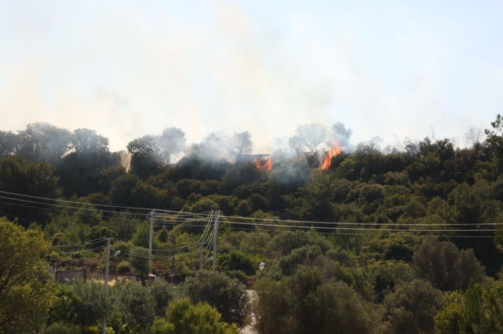 İzmir’de korkutan yangın