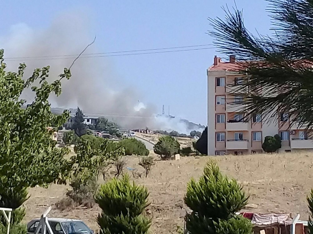 Aliağa’da orman yangını