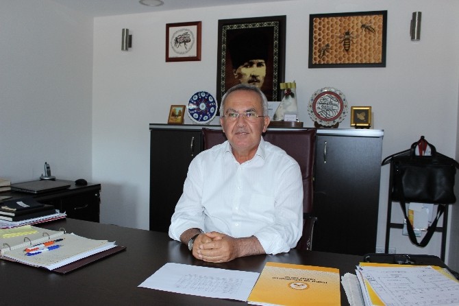 Uluslararası Çam Balı Kongresine 2 bin katılım bekleniyor