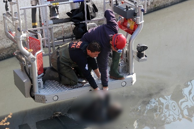 İzmir’de derede ceset bulundu