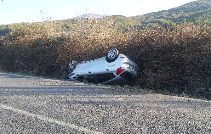 KEDİYİ EZMEMEK İÇİN TAKLA ATTI