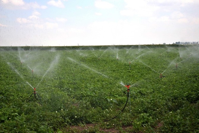 KOP Projesi 2019 yılında tamamlanacak
