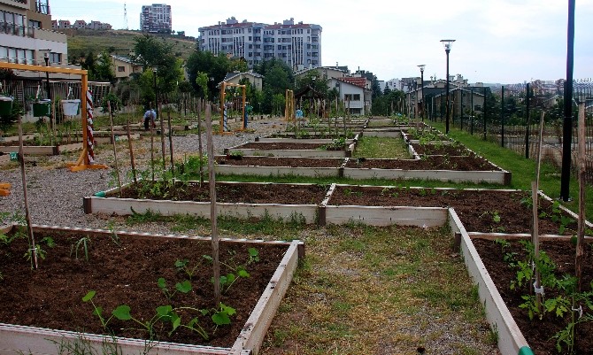 Kent Tarım Hobi Evi’nde yeni eğitimler Şubat’ta başlıyor