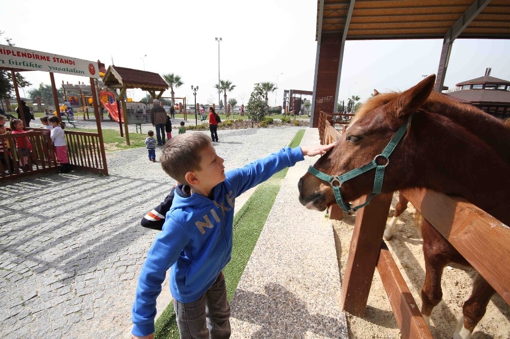 Bahar Tay Park’ta güzel