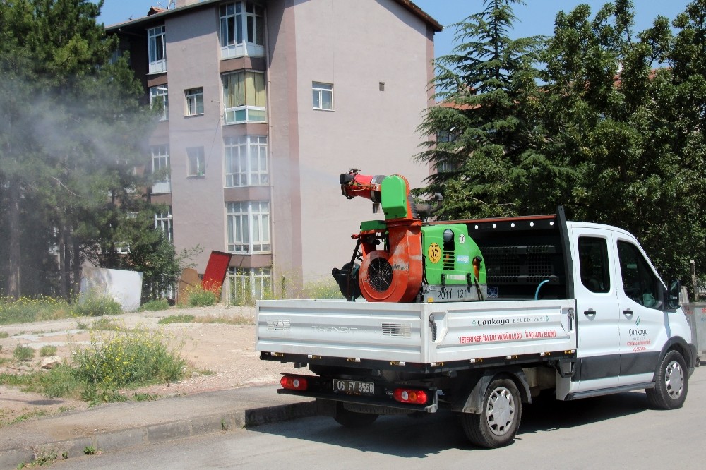 Çankaya’da haşereyle mücadelede yoğun mesai başladı