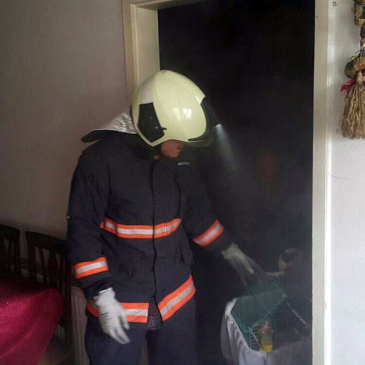 Dumanların arasında kalan kuş itfaiye tarafından kurtarıldı