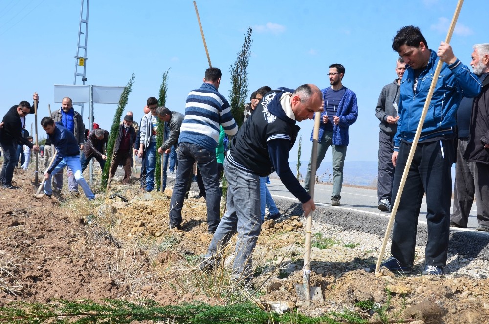 Şehitler çam fidanlarında yaşayacak