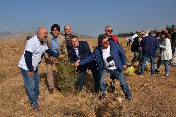 Cumhuriyet fidanları Foça’da yeşerecek