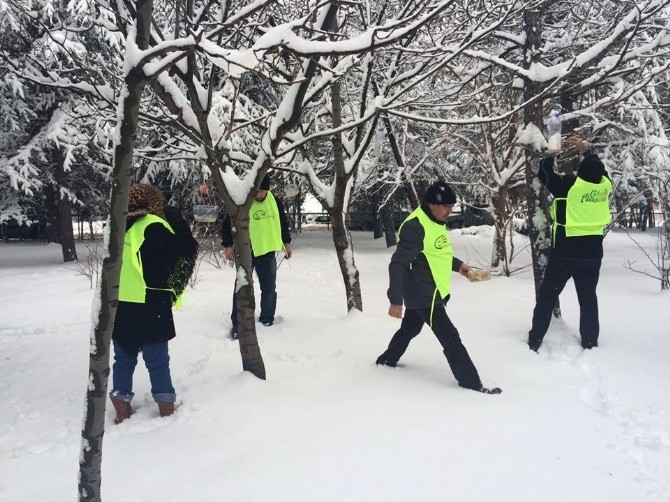 Keçiören Belediyesi Gönüllü Akademisi sokak hayvanlarını unutmadı

