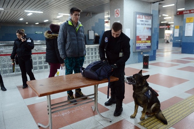 Metroda K-9 köpekleriyle güvenlik
