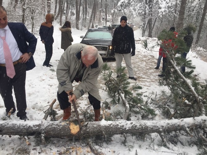 Haberal’ın aracının önüne ağaç devrildi
